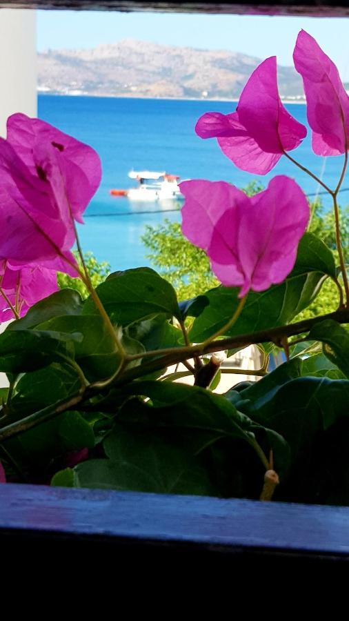 Haraki Mare Studios Beach Front Εξωτερικό φωτογραφία