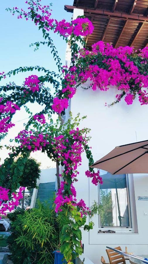 Haraki Mare Studios Beach Front Εξωτερικό φωτογραφία